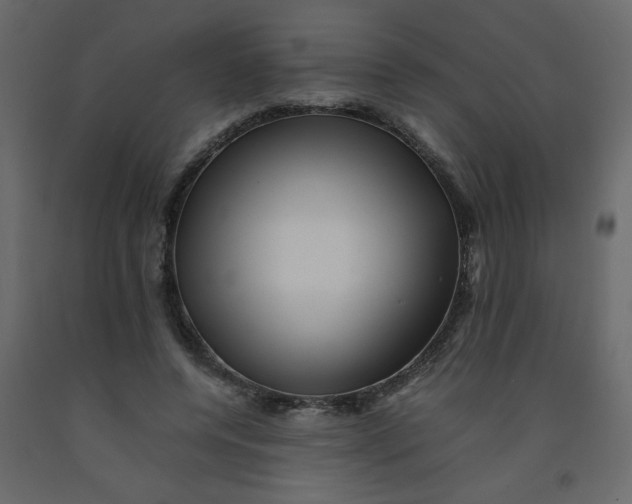 X0000092210544200710051139