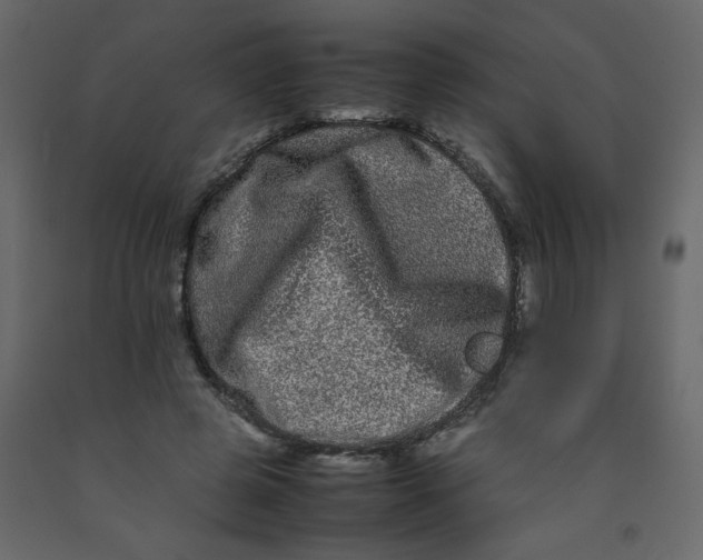 X0000092210545200710051139