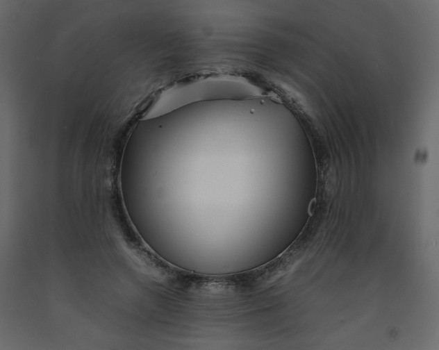 X0000092210546200710051139