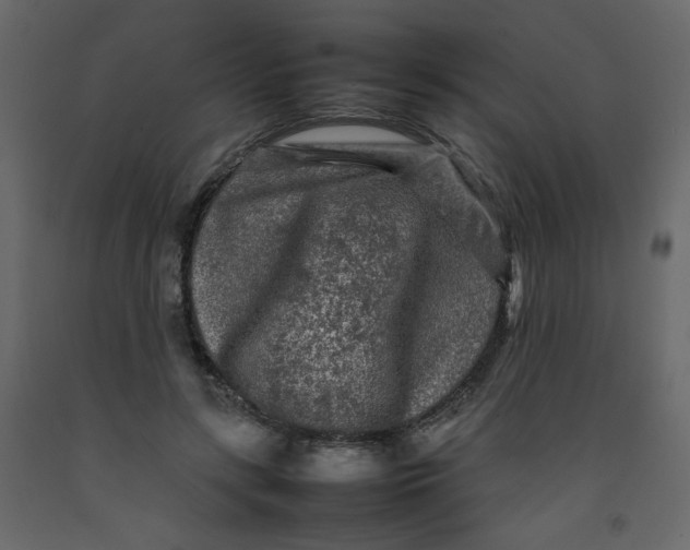 X0000092210547200710051139