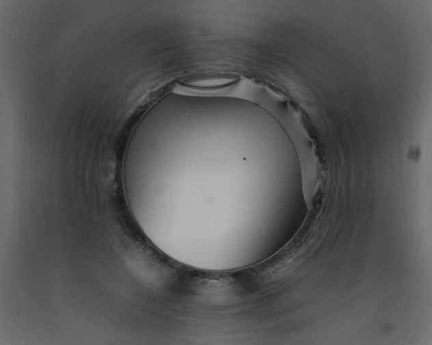 X0000092210548200710051139