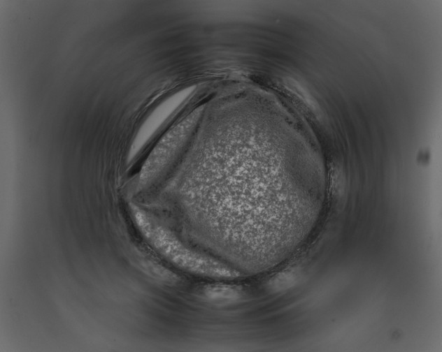 X0000092210549200710051139