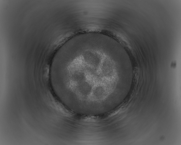 X0000092210550200710051139