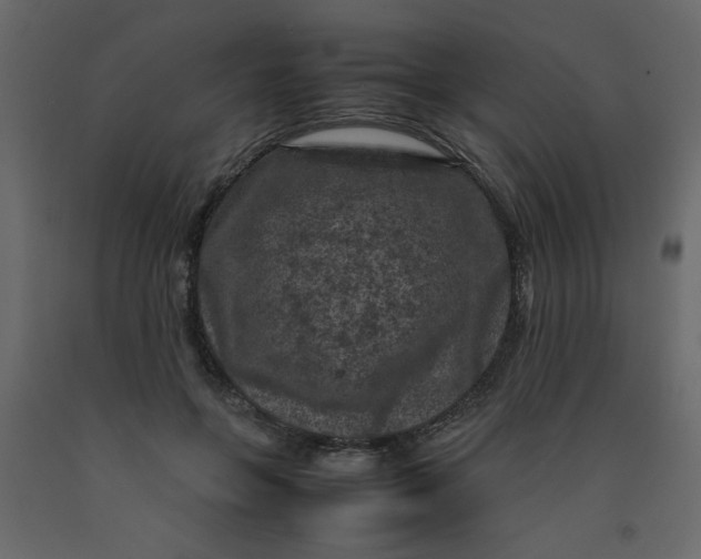 X0000092210551200710051139