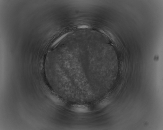 X0000092210553200710051139