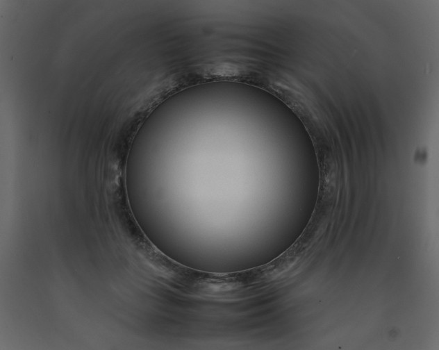 X0000092210555200710051139