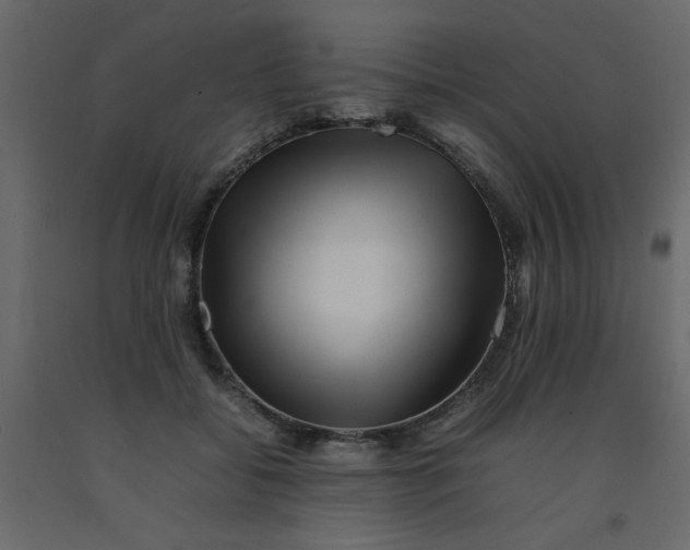 X0000092210556200710051139