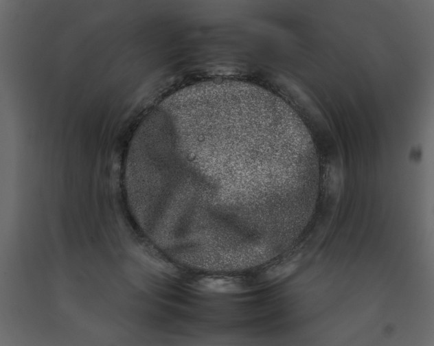 X0000092210557200710051139