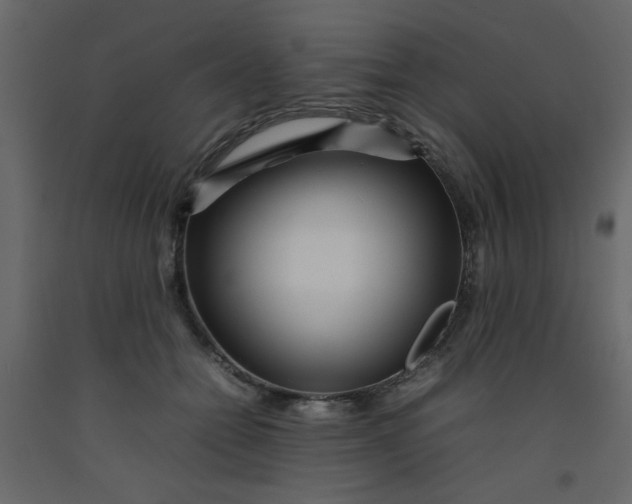 X0000092210558200710051139