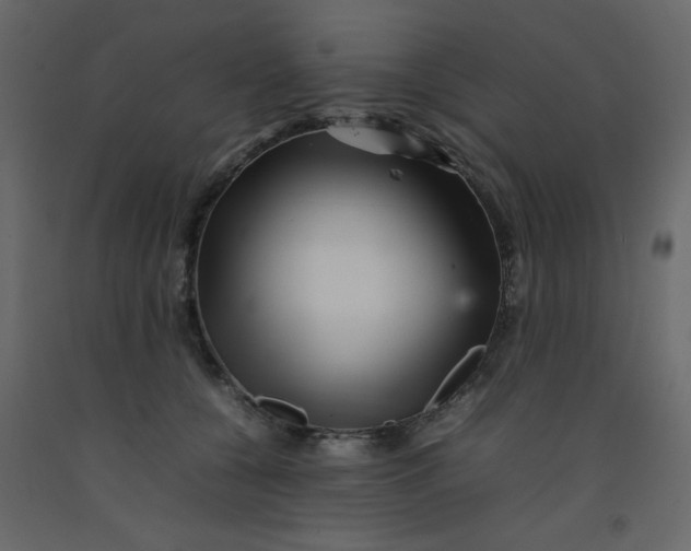 X0000092210560200710051139