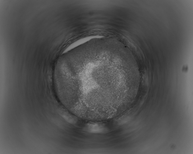 X0000092210561200710051139