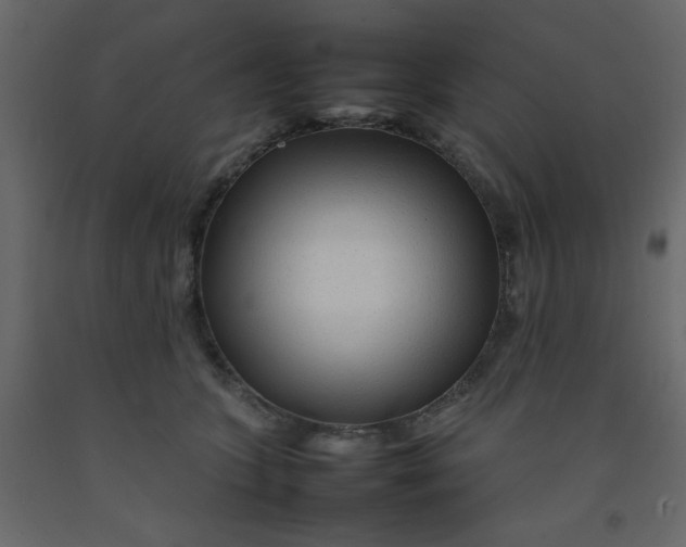 X0000092210563200710051139