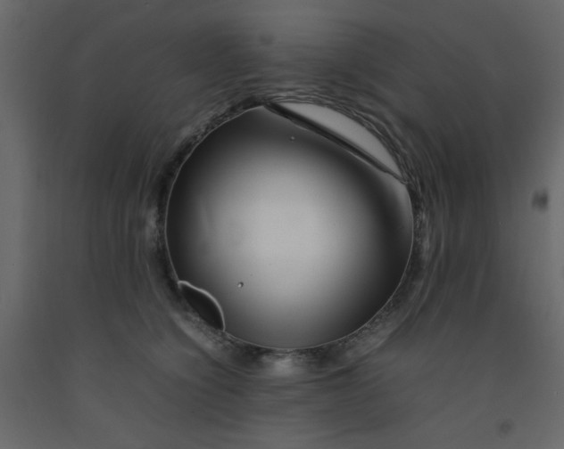 X0000092210564200710051139