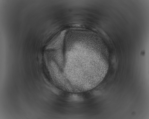 X0000092210565200710051139