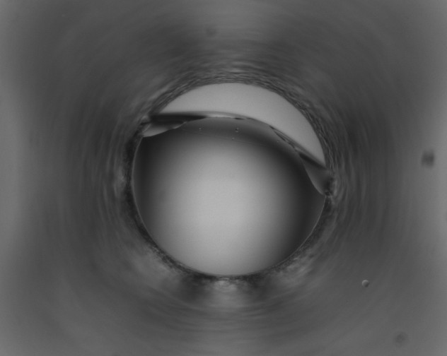 X0000092210566200710051139