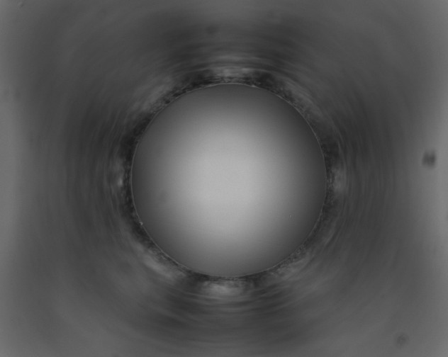 X0000092210567200710051139