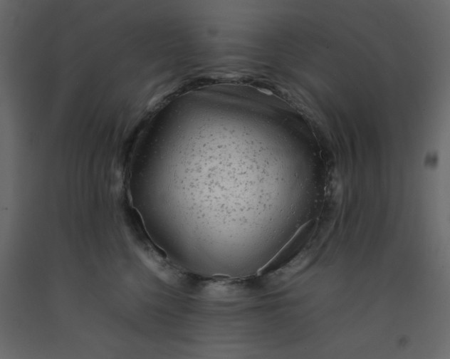 X0000092210568200710051139