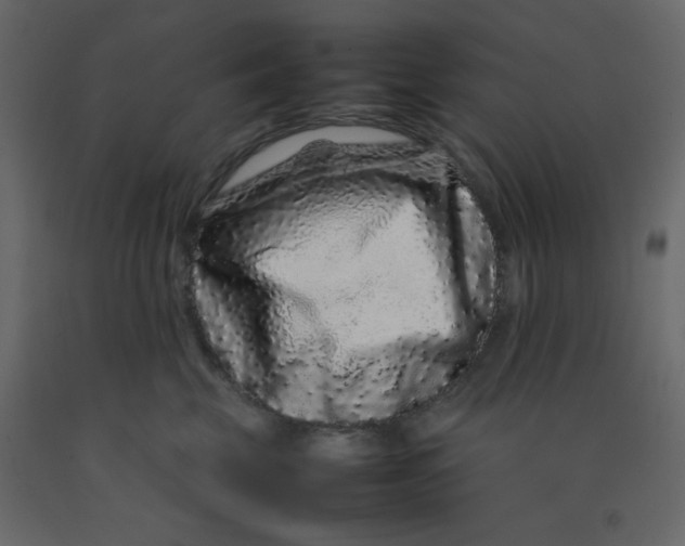 X0000092210569200710051139