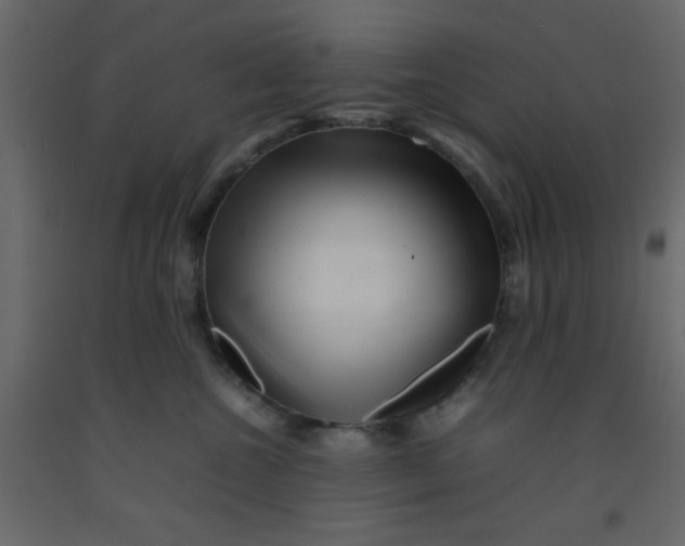 X0000092210572200710051139