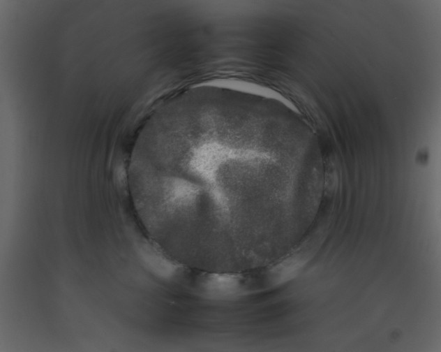 X0000092210573200710051139