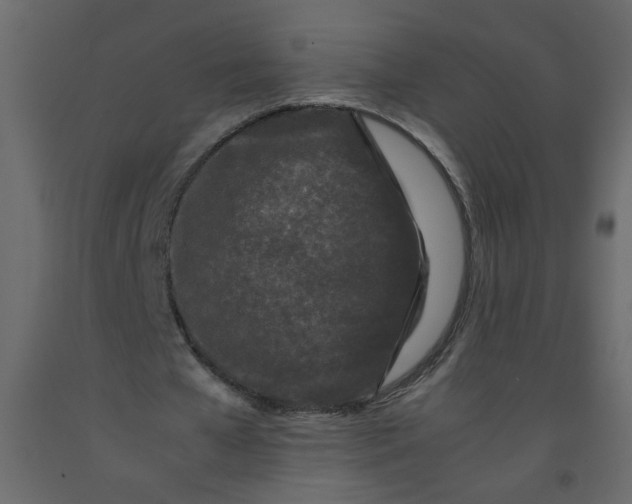 X0000092210577200710051139