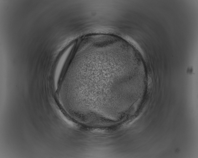 X0000092210581200710051139