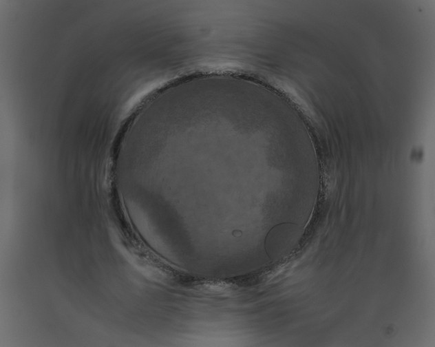 X0000092210583200710051139