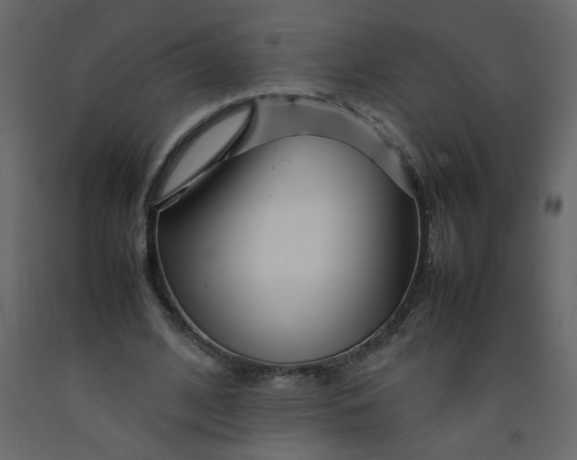 X0000092210584200710051139