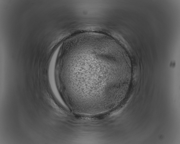 X0000092210585200710051139