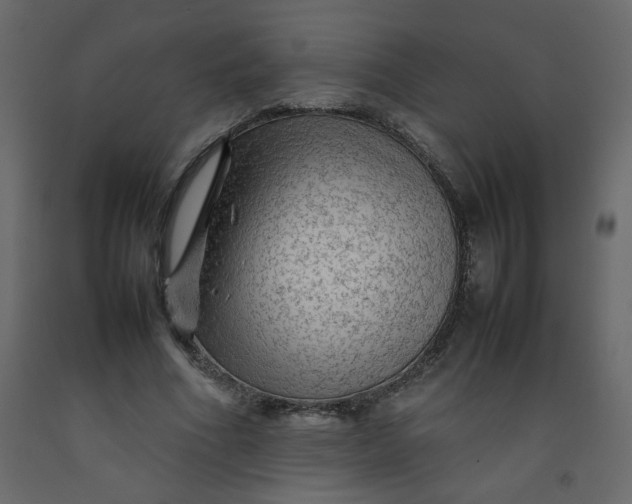 X0000092210586200710051139