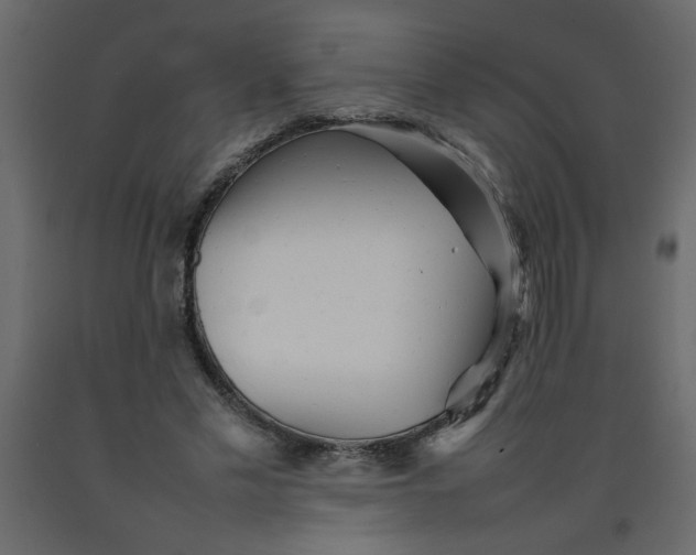 X0000092210589200710051139