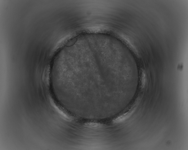 X0000092210590200710051139