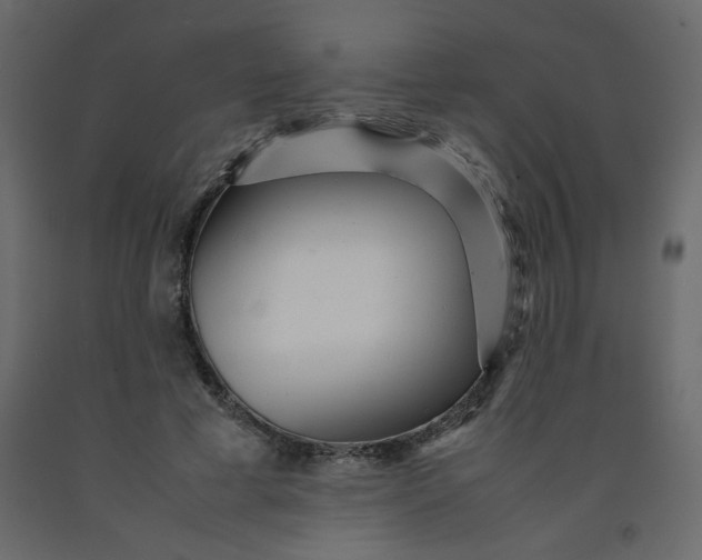 X0000092210593200710051139