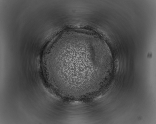 X0000092210594200710051139