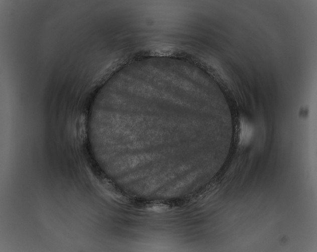 X0000092210598200710051138