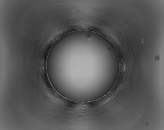 X0000092210599200710051138