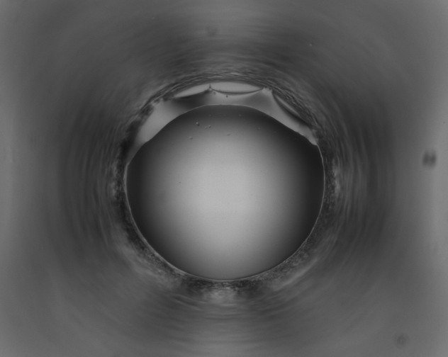 X0000092210600200710051138