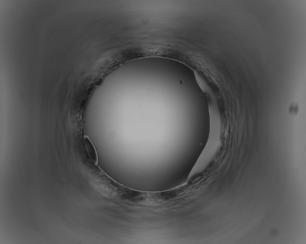 X0000092210601200710051138