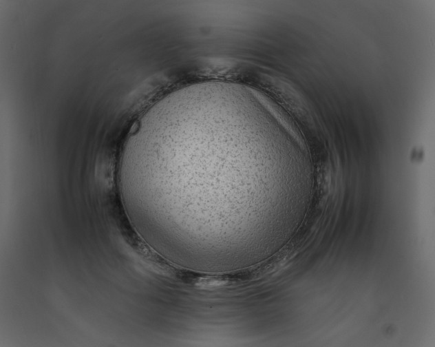 X0000092210602200710051138