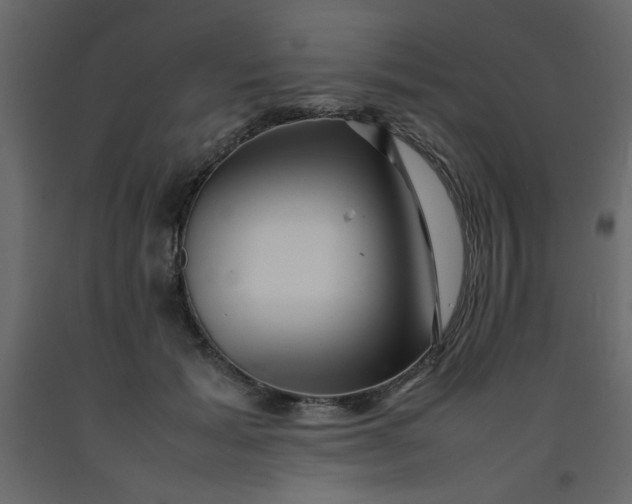 X0000092210605200710051138