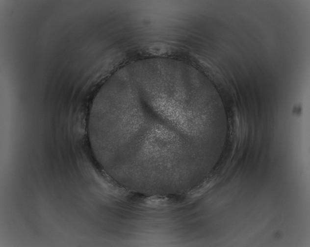 X0000092210606200710051138