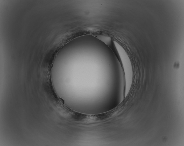 X0000092210609200710051138