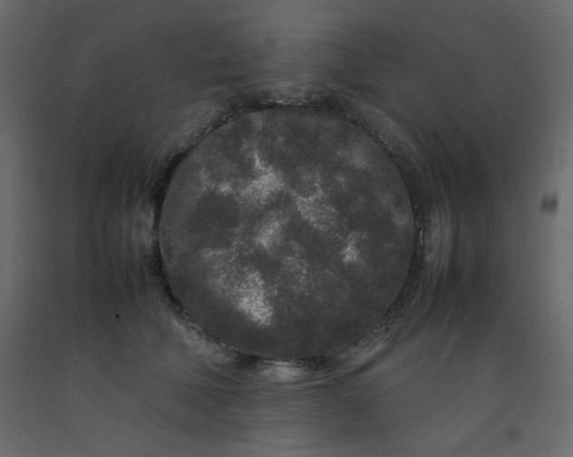 X0000092210610200710051138