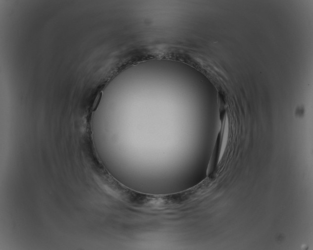 X0000092210611200710051138