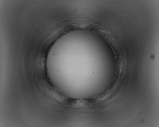 X0000092210612200710051138