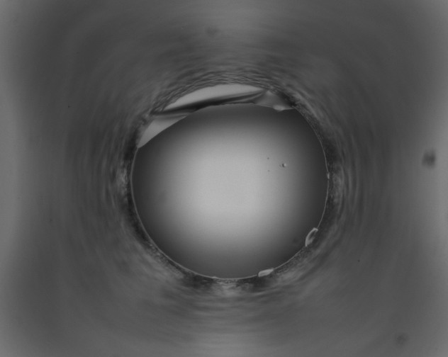 X0000092210613200710051138