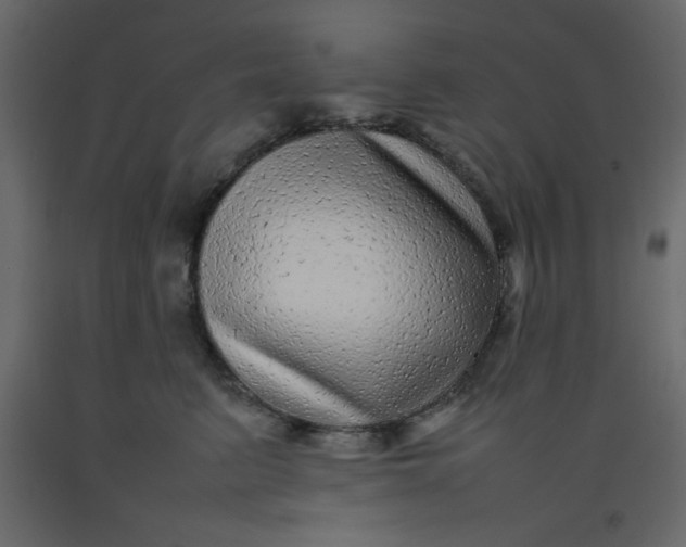 X0000092210615200710051138