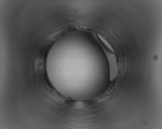 X0000092210616200710051138