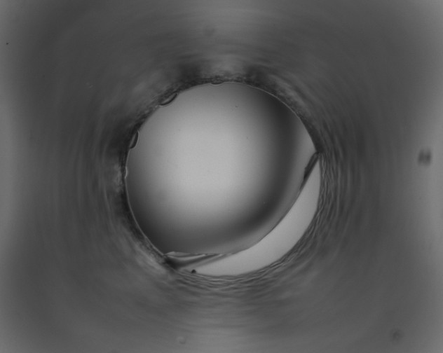 X0000092210617200710051138