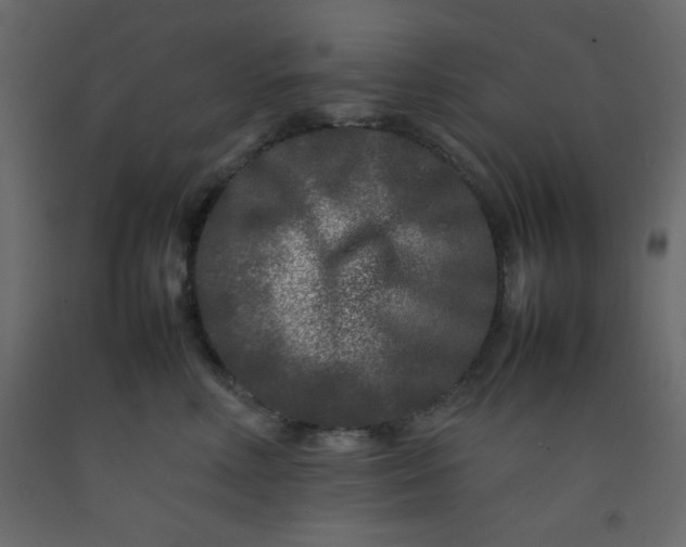 X0000092210618200710051138